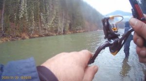 ловля хариуса в мутной воде