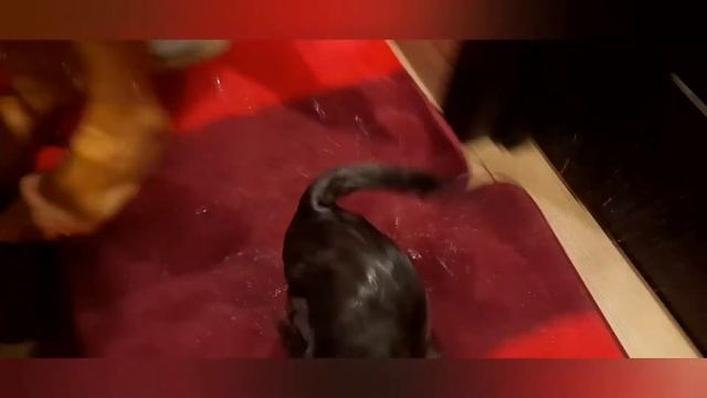 Треба бути чистою