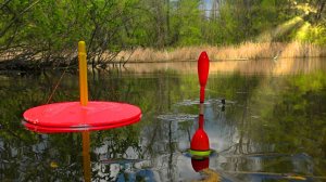 ЭТИ ЩУКИ УТАСКИВАЮТ КРУЖКИ ПРЯМО В ДЕБРИ! ИЩУ ЩУКУ В ЗАРОСЛЯХ КАМЫША.