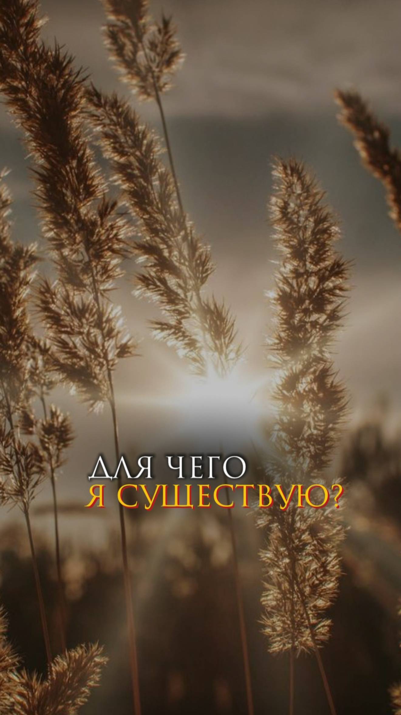 Для чего я существую? смотреть онлайн