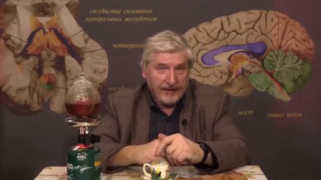 Читайте и развивайтесь смотреть онлайн