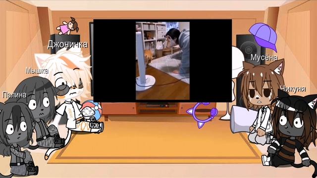 реакция котов на смешные коты с озвучкой смотреть онлайн