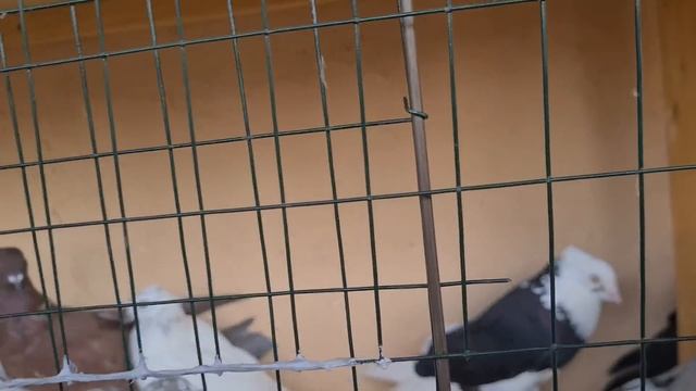 23 июля 2023 г. смотреть онлайн