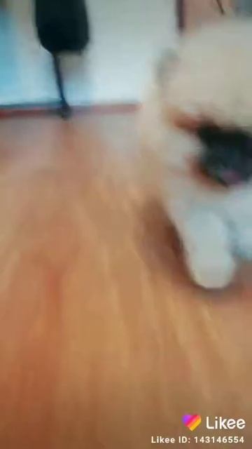 2 августа 2019 г.