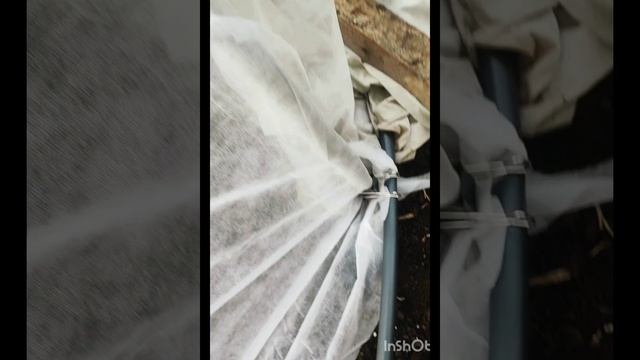 Первый раз посадила сама помидоры, перец, огурцы. Сделали самодельный парник ❤👍😊 смотреть онлайн