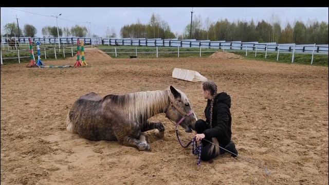 ТРЮКИ которые знает АНХЕЛЬ/ТРЮКИ