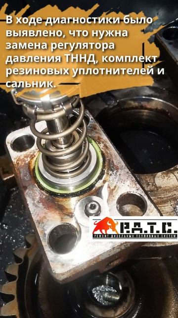 Ремонт ТНВД газель #диагностика #ремонт #ремонтфорсун? смотреть онлайн
