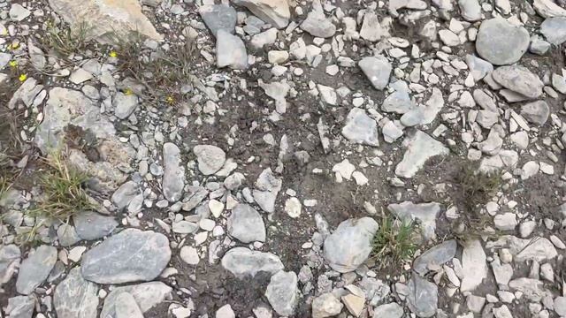 Отчет на финише CDH: DNF из-за травмы колена Val d'Aran by UTMB 2024 🏃♂️ | Pedro Vizuete