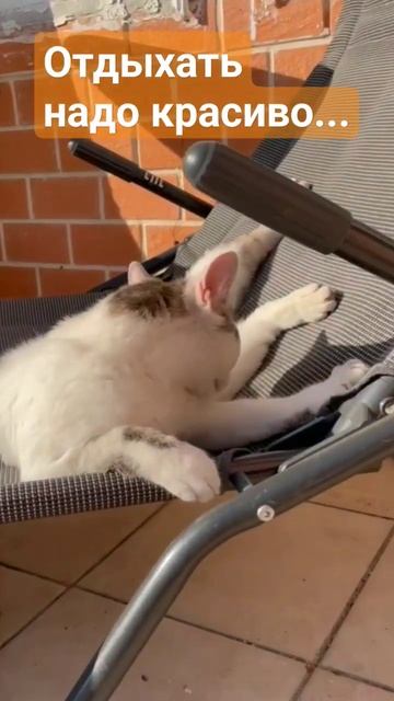 Особенно, если ты красивый котик смотреть онлайн