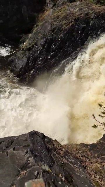 Водопад в заповеднике Кивач. Карелия.