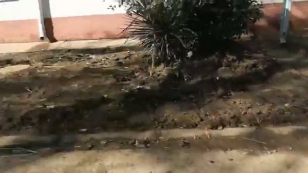 Село Кривенковское 03.11.3018 г. Щебзавод