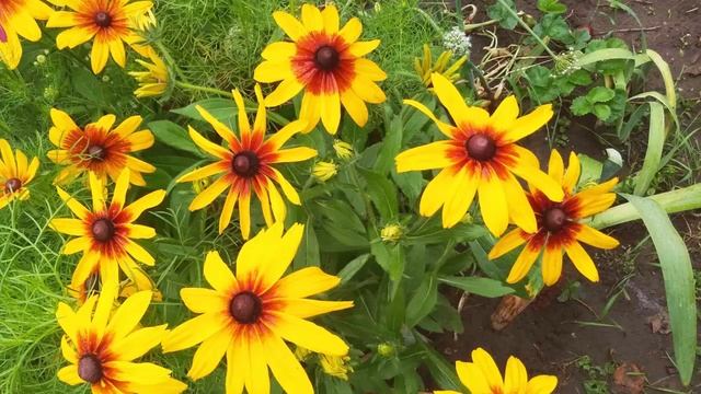 ШАПКА. Сказка для детей. Слушаем сказку. смотреть онлайн