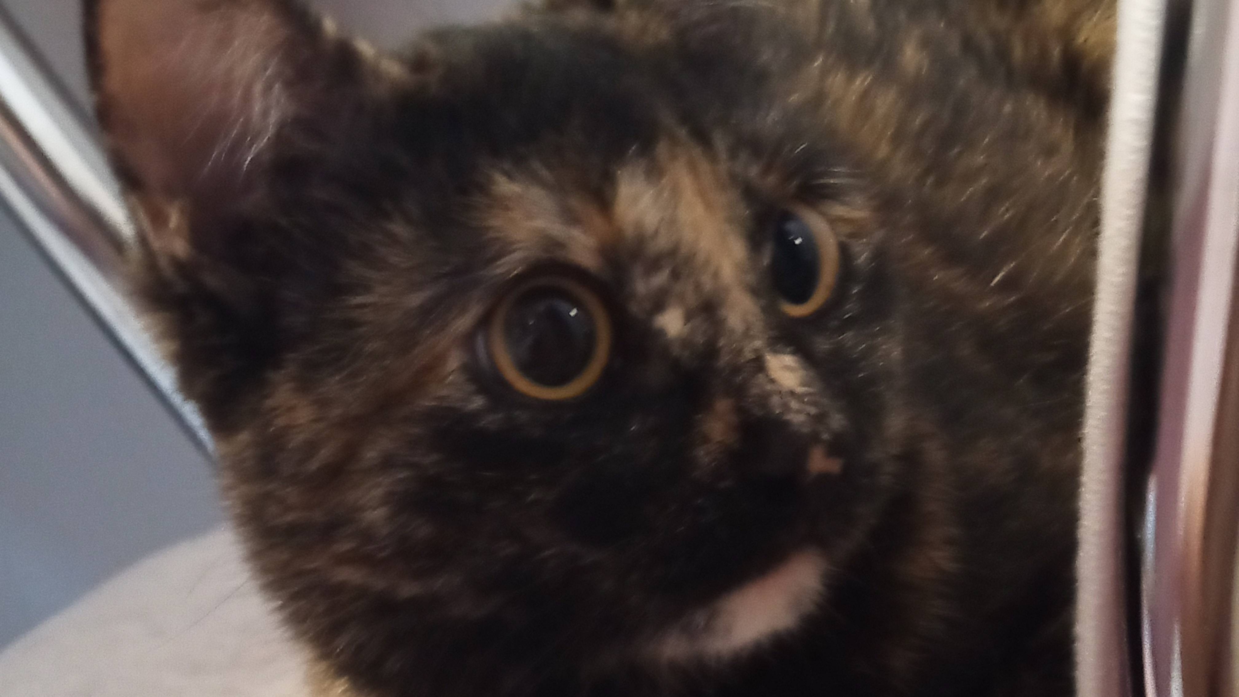 Рум тур по дому Вики🤗