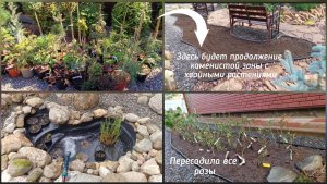 Прогулка по саду. ( Ленинградская область, май 2025 г.)