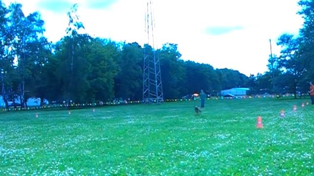 Бакурова Елена АСТ Ульман Прогресс