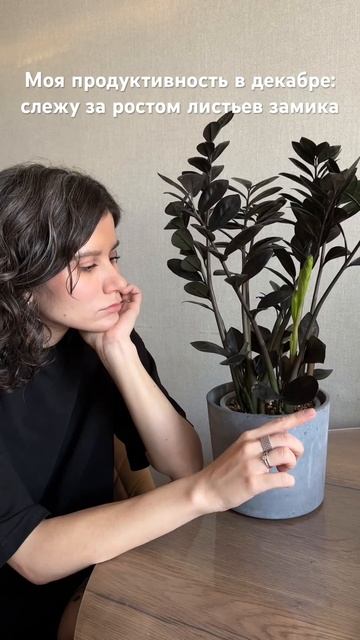 Замиокулькас равен 💚 смотреть онлайн