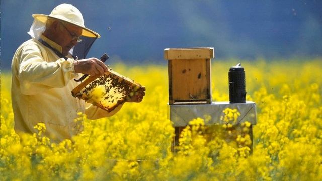 Медовый спас