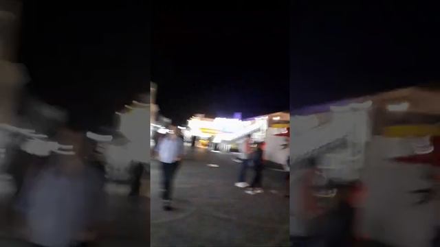 Моржи рулят... вечерний обзор... на ПМЖ в Сочи 10 ноября 2019г.