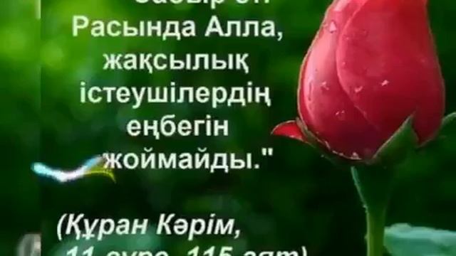 Алла үшін ризамыз(2)