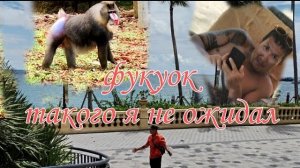 фукуок . первые впечатления .  онг ланг . сафари шоу . влог