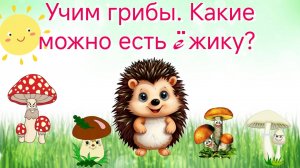 Учим грибы. Грибы для детей с ежиком. Обучающий развивающий мультфильм