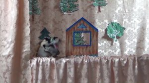 Спектакль "Красная шапочка" 11.05.2025 самодеятельный семейный театр Кузнецовых