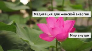 Медитация для женской энергии | Наполнение, принятие себя и пробуждение женской силы