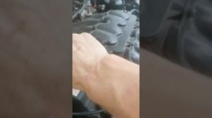 Вакуумный клапан впускного коллектора шкода октавия ?