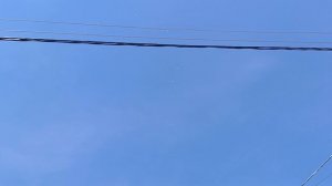 Открытие гонного сезона.Полет бакинских голубей. 89225283900