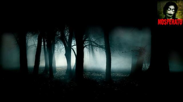 Болото. Страшные истории на ночь 🫣🫣🫣 смотреть онлайн