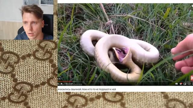 Параноик оценивает канал Мастерская Настроения