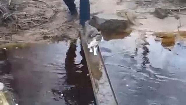 Жить захочешь — не так раскорячишься смотреть онлайн