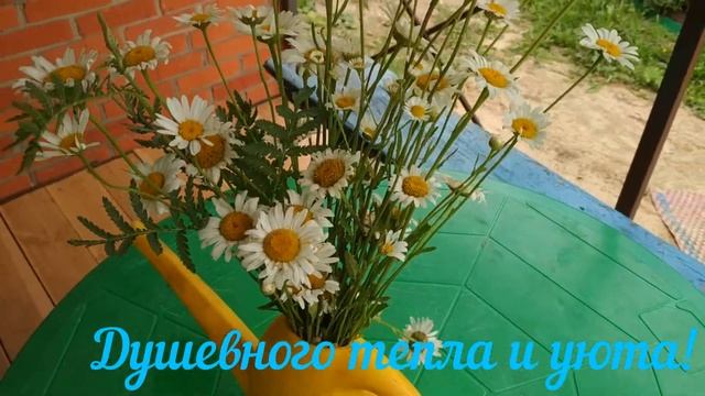 С Добрым🌹❤️🌞утром и хорошим днём! смотреть онлайн