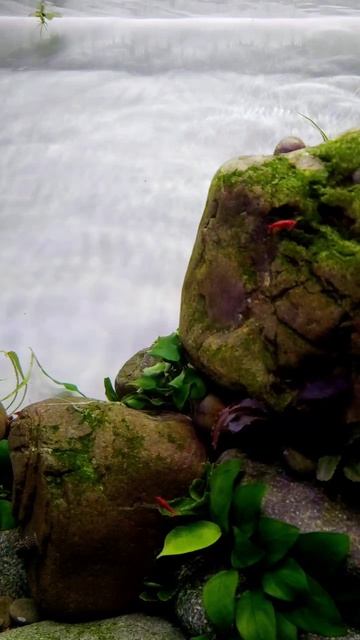 Движуха в шестидесяти литрах смотреть онлайн