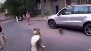 Как майк и роки помогали друг другу @husmut