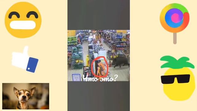 15 СЛУЧАЕВ КОГДА ТЫ ОБРАЩАЕШЬ ВНИМАНИЕ НЕ ТУДА смотреть онлайн