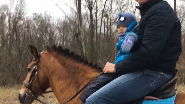 Катание на лошадях. Малыш едет верхом на большом коне смотреть онлайн