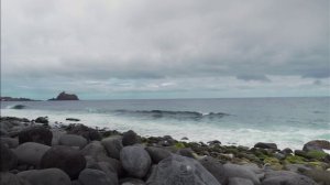 А я знаю Искупитель мой жив - MSD Music Laboratory