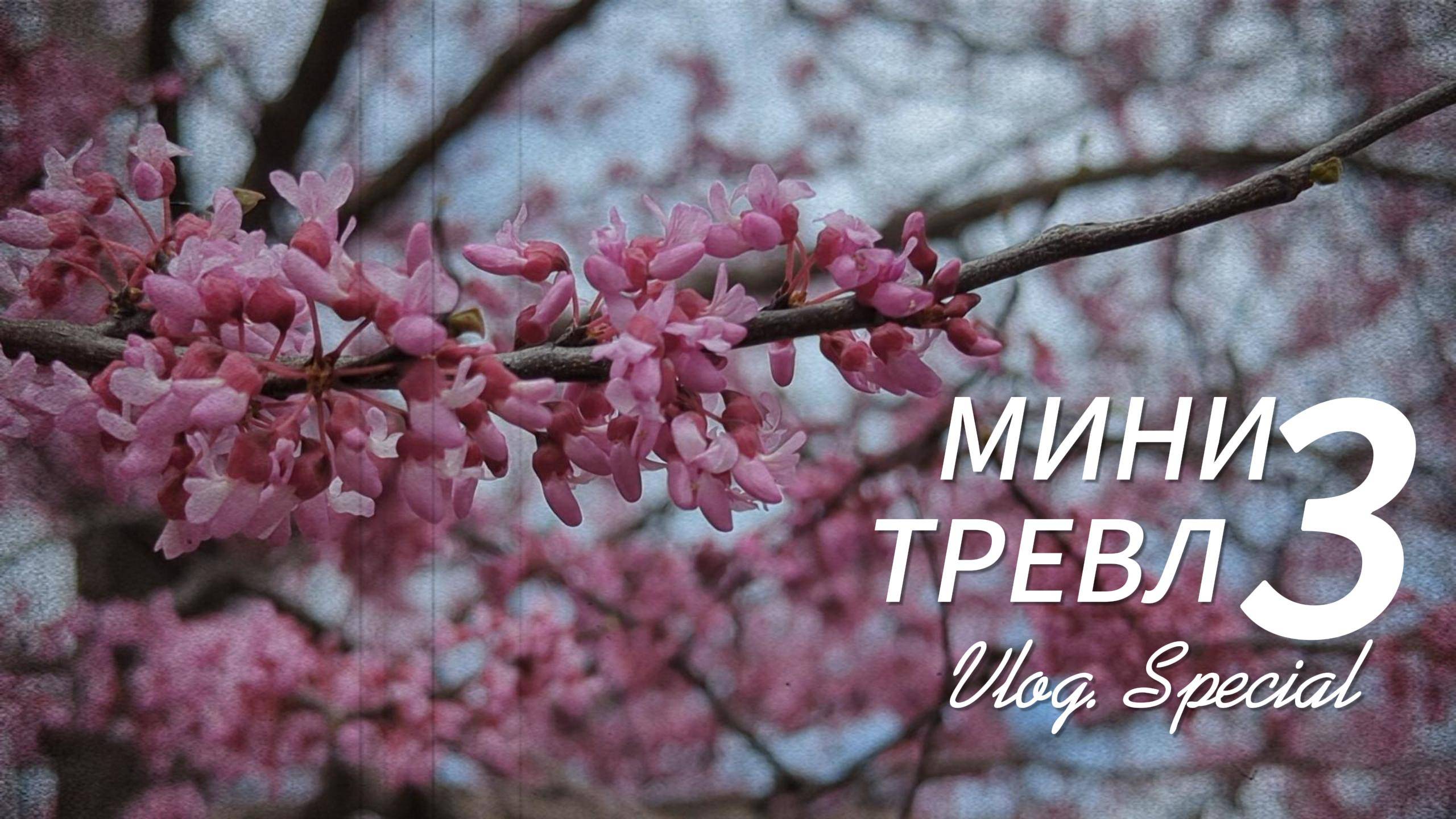 мини-тревл-влог СПЕШЛ 3-я часть