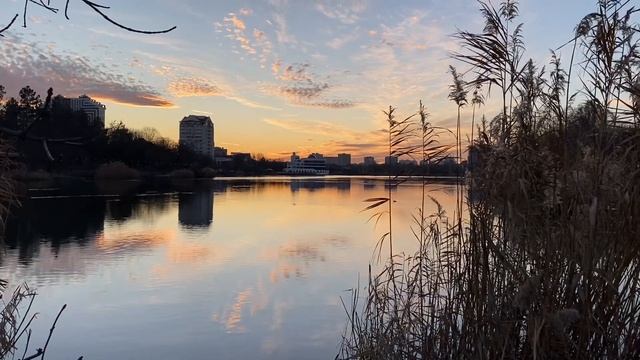 Купаться запрещено Представляете? На Озерки