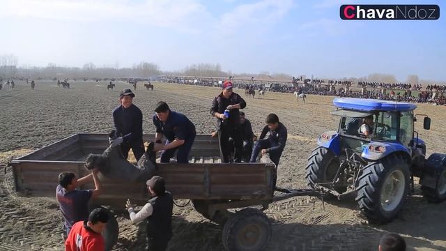 22 11 2021 YIL URGUT KO'PKARI DAMIN SHAROPOV O'RAMAS QISHLOG'IDA смотреть онлайн