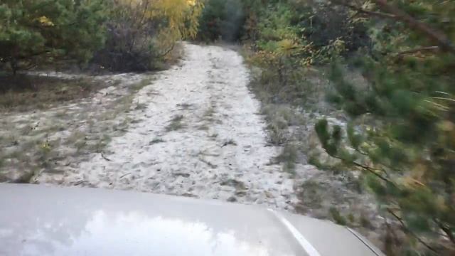 Бучак 2018 Бабина Гора