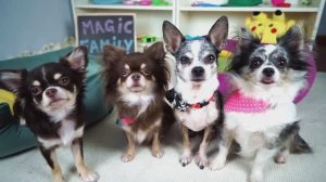 КТО УКРАЛ ВСЕ ПОДАРКИ?! 🎀 РАСПАКОВКА ПРЕВРАТИЛАСЬ В ХАОС! 😱