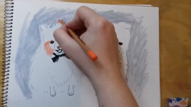 ⭐  Coloring For Kids. Drawing And Coloring. Шпицы