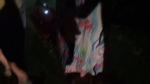 В Актау жители одного из домов взбунтовались против обилия собак у соседки