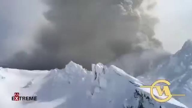 31 марта 2017 г.