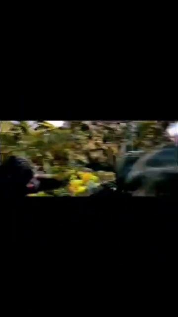 Эдит ВАСТАТОЗАВРА