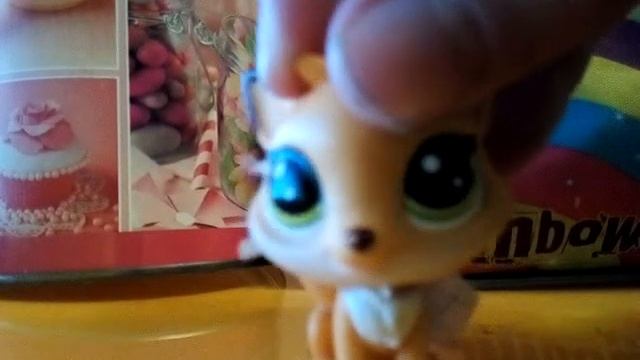 Клип пони ты убил меня сам дурак