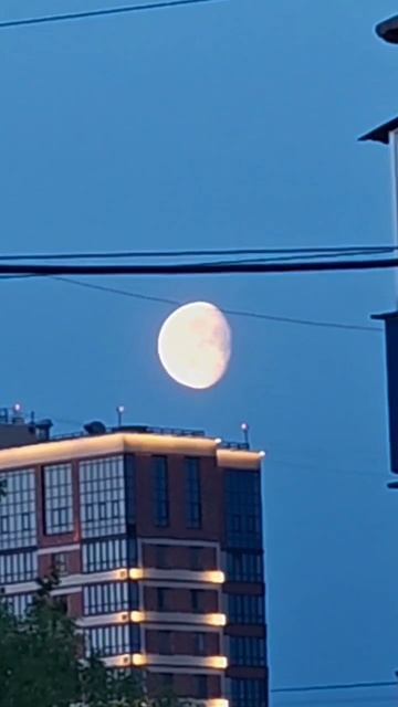 Майская луна в гостях в Новосибирске смотреть онлайн