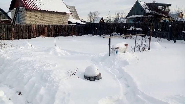 15 января 2023 г и снова мои куры. смотреть онлайн